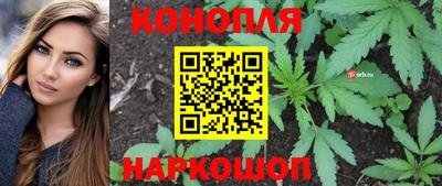спайс Обь