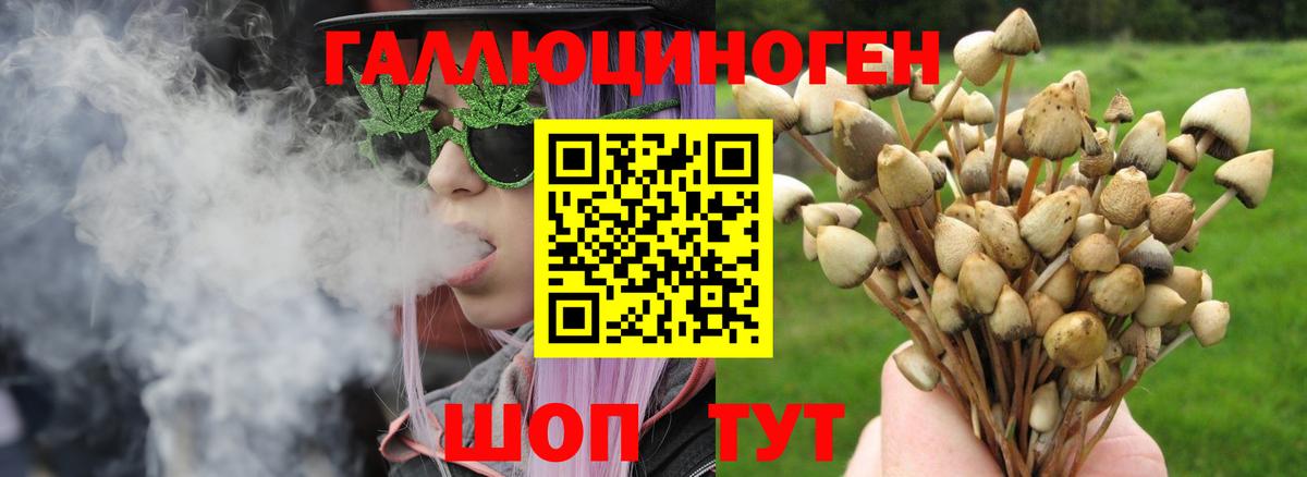 Саянск  где найти наркотики  Галлюциногенные грибы MAGIC MUSHROOMS  Вход с VPN  Галлюциногенные грибы MAGIC MUSHROOMS 